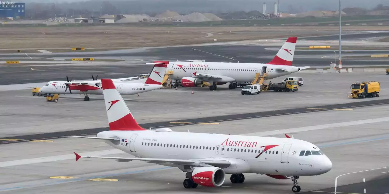 Crash mit Vogel! AUA-Jet am Weg nach NY musste runter