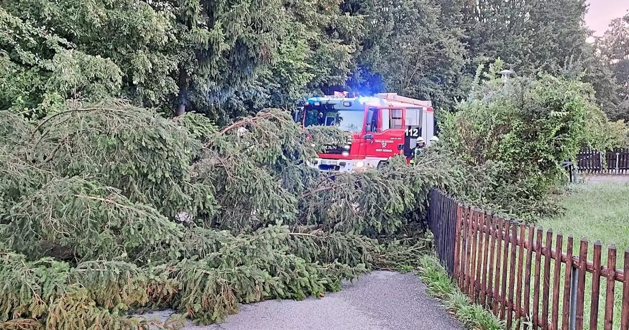 Wind fegte durch Landkreis Dingolfing-Landau und fordert Kräfte