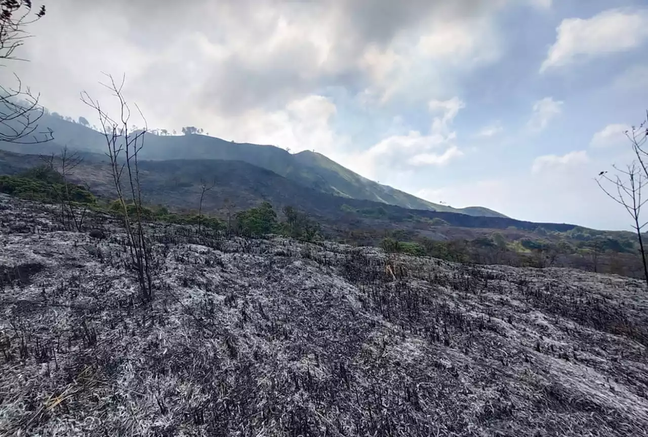 Lereng Gunung Arjuno Terbakar, Beginilah Kondisinya