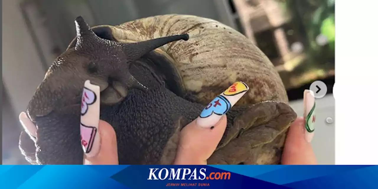 Jadi 'Snail-fluencer' Pertama di Dunia, Wanita Ini Ubah Hobi Pelihara Bekicot Jadi Uang