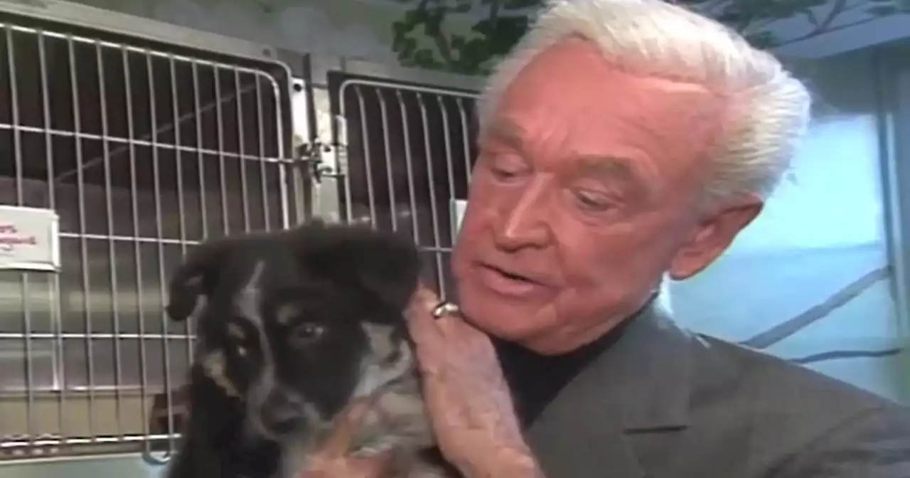 TV game show icon and animal rights advocate Bob Barker dies at 99