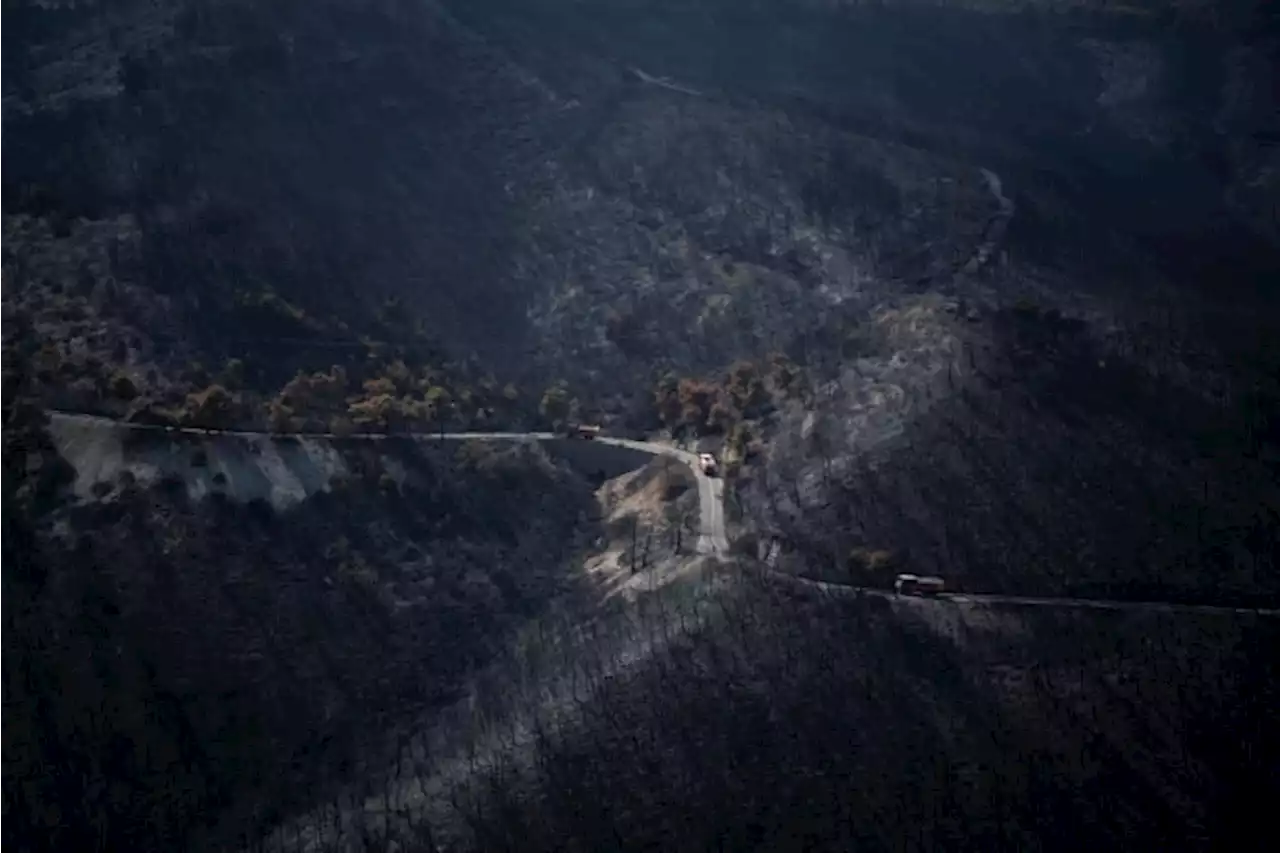 More than 600 firefighters backed by water-dropping aircraft struggle to control wildfires in Greece