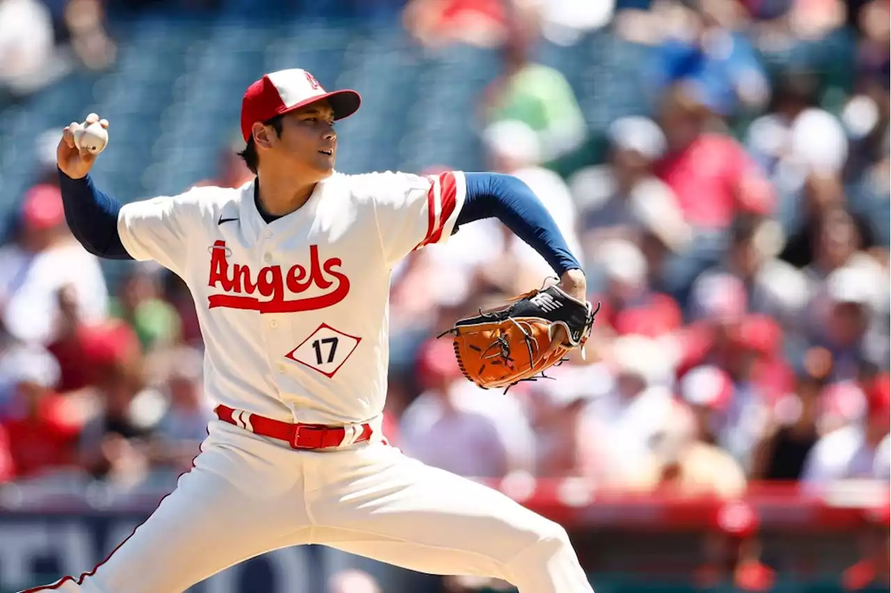 Shohei Ohtani ‘turned down’ Angels’ offer of imaging weeks before elbow injury