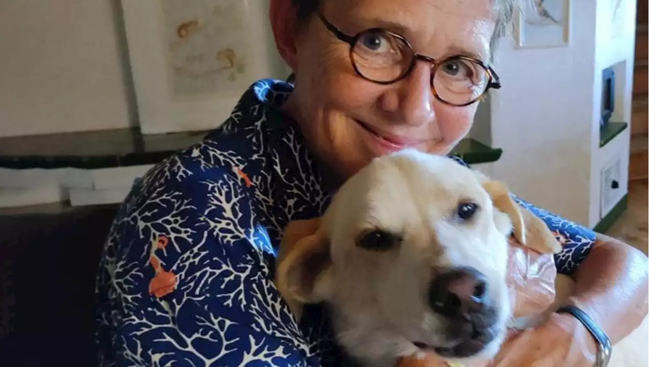 Susanna Tamaro adotta il cane Pongo: 'Era da sette anni in canile, ora perfettamente a suo agio su qualsiasi divano'