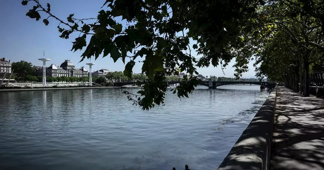 Lyon : bientôt des piscines pour se baigner dans le Rhône et la Saône ?