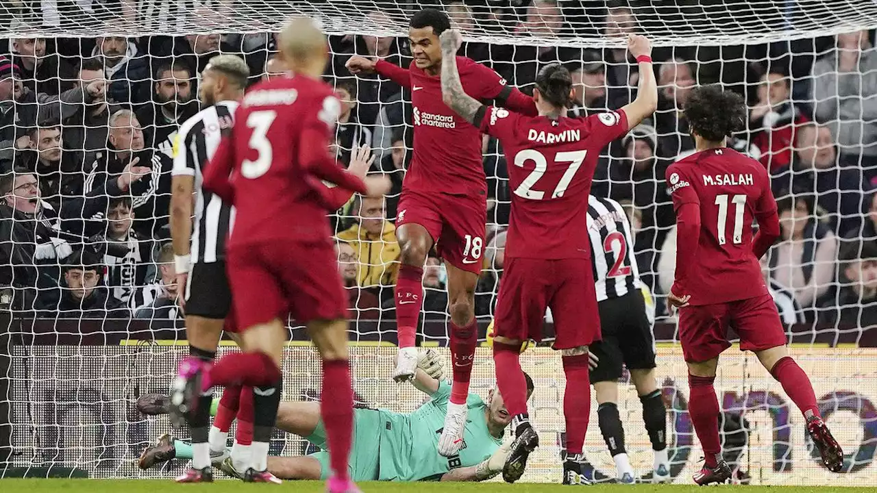 Link Live Streaming Liga Inggris Newcastle United vs Liverpool, Tayang di SCTV dan Vidio