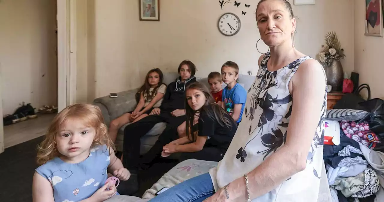 Mum with seven kids forced to live in one-bedroom council flat