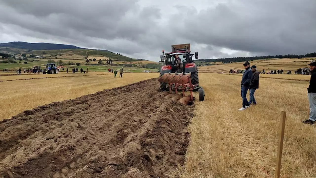 Lozère : une Fête de la terre à la rencontre des agriculteurs de demain