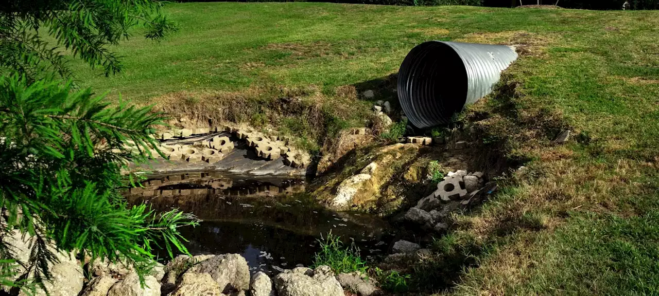 Not down the drain: Wastewater offers a promising climate and nature solution