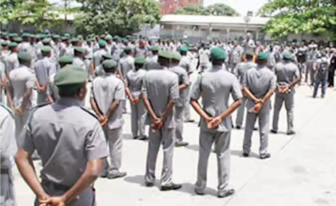 Kebbi Customs seize cannabis, donkey skin worth N164.8m