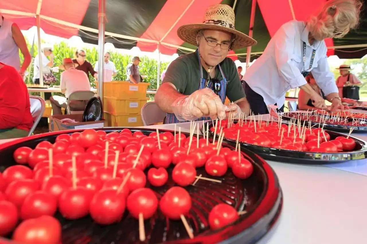 Want to try 50 of N.J.’s best tomatoes? Check out Rutgers’ Great Tomato Tasting.