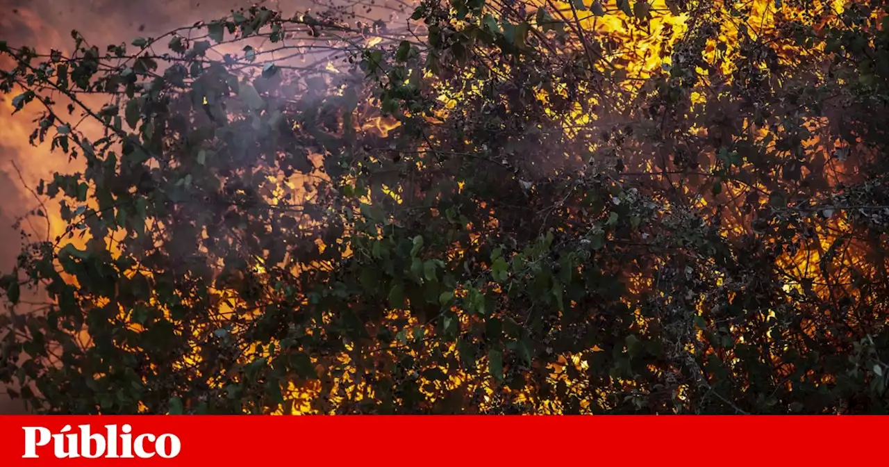 Incêndio mobiliza mais de 100 operacionais e sete aeronaves no distrito de Viseu