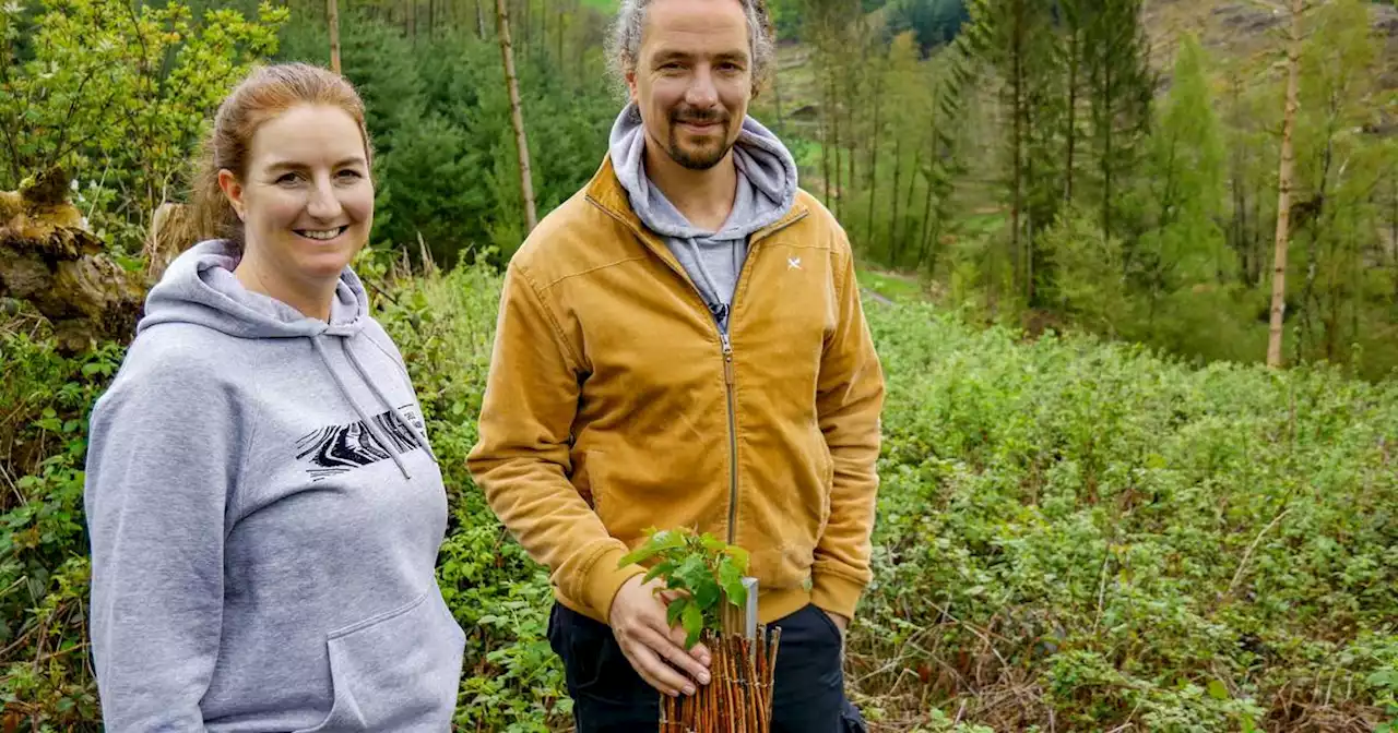 Sauerländer für Idee ausgezeichnet: Geschwister bauen Tiny Houses aus Borkenkäfer-Holz