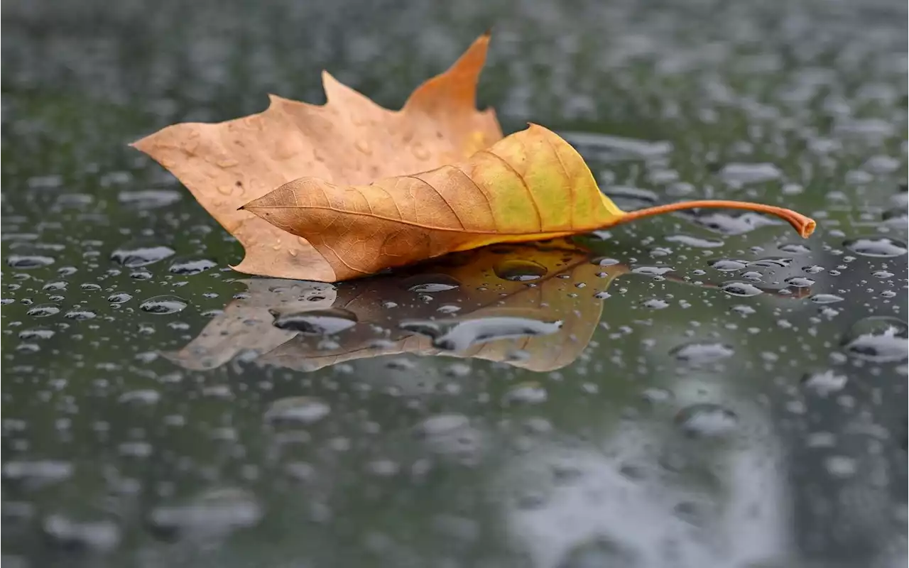 Meteorologischer Herbstanfang: Kühlere Temperaturen