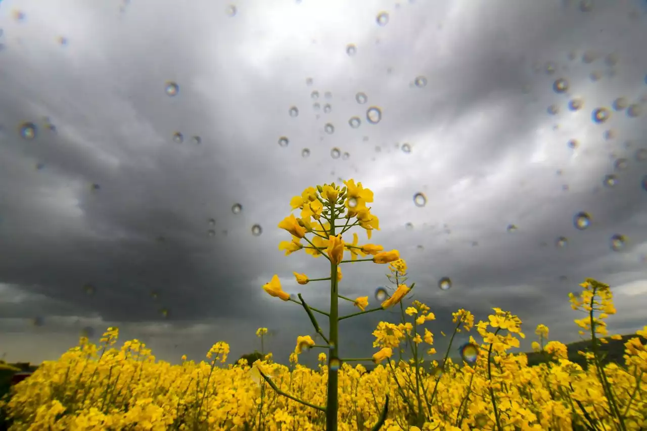 Sommer geht wechselhaft zu Ende