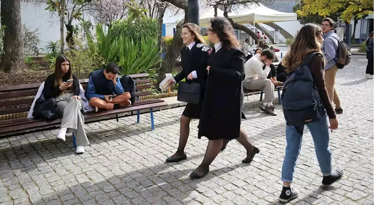 Concurso Ensino Superior. Primeira fase coloca quase 50 mil estudantes, maioria na primeira opção