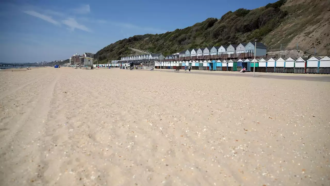 Bournemouth murder investigation after human remains found off cliff-side path