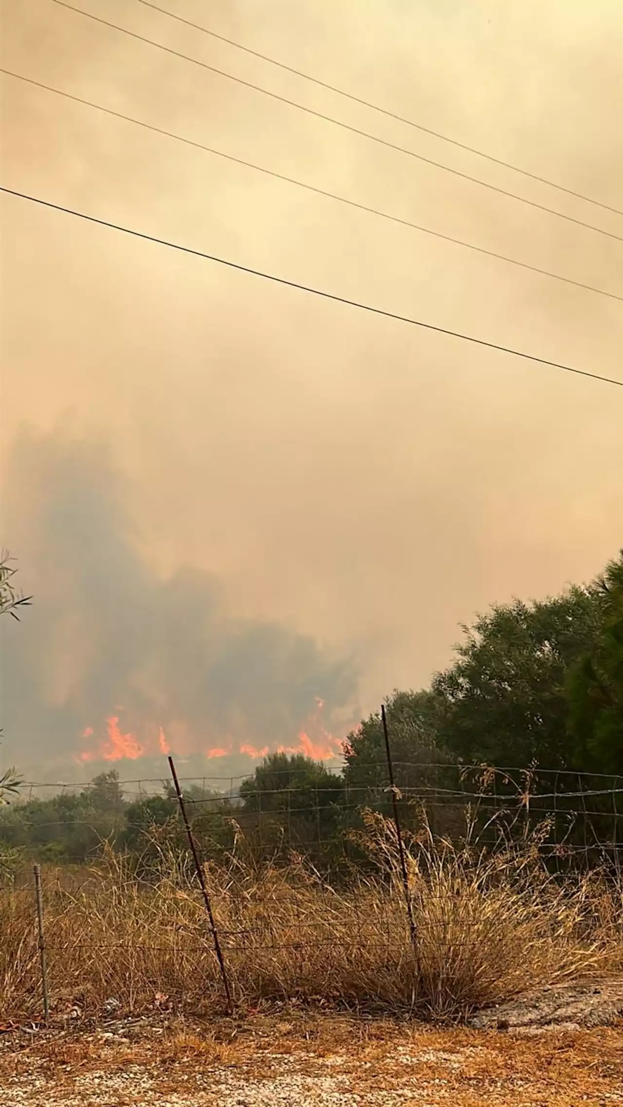 Incendi in Sicilia, interventi in diverse aree. Chiuso l’aeroporto di Trapani