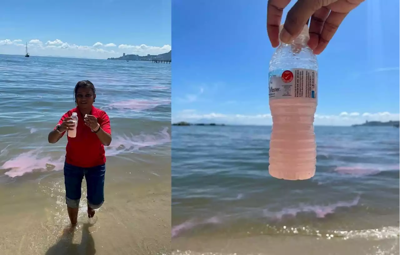 It's not pink guava juice: Pink tide hits Penang again