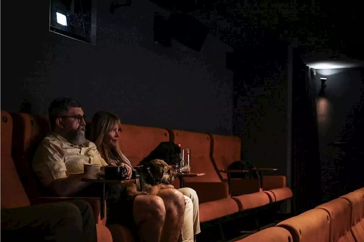 At this movie, their phones won’t bother you. Their barking might