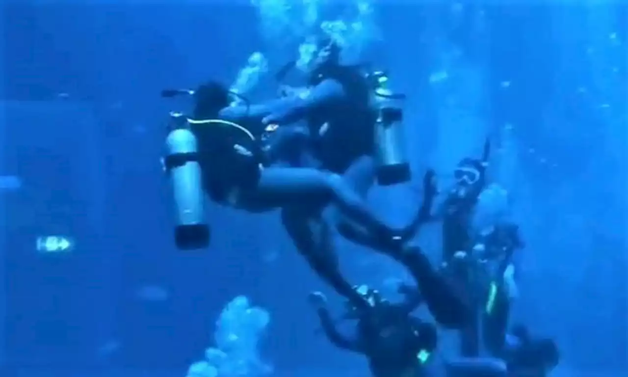 Divers 'fighting' in S.E.A. Aquarium? No, it's part of rescue diving course with instructor acting panicked