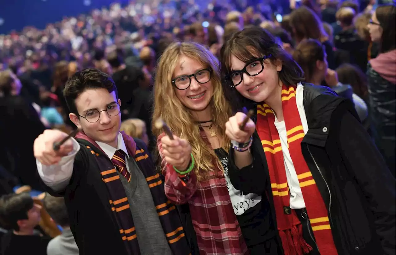 « Harry Potter » : nouveau record mondial du plus grand rassemblement de fans à Hambourg