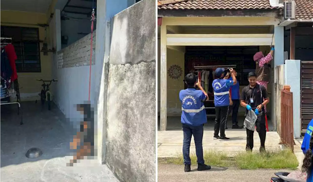 Dog Died While Attached To Leash Outside Penang Home, Owner Claims It Was An Accident