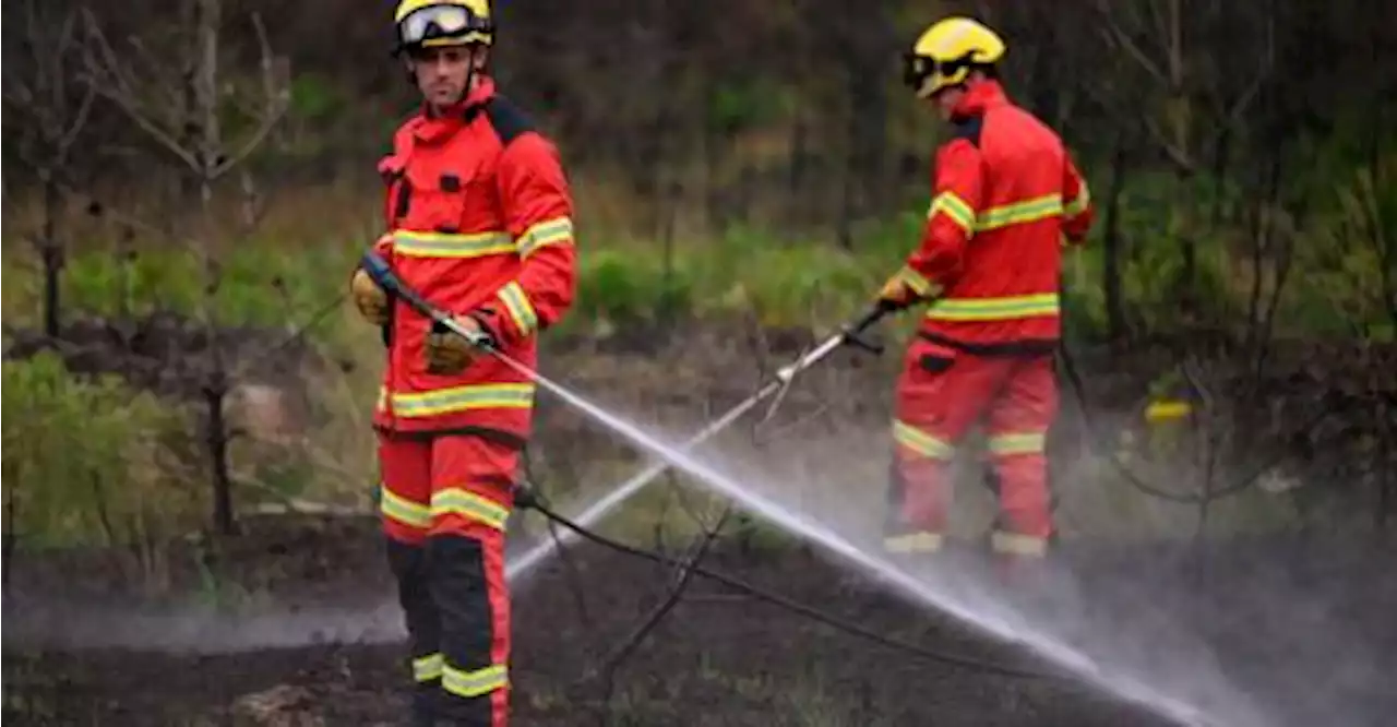 ‘The risk is real’: UK fire service preps for wildfires