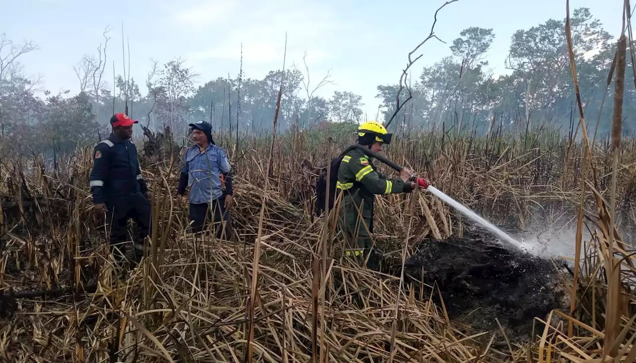 Policía Metropolitana apoyó en labores para controlar incendio en Parque Isla Salamanca