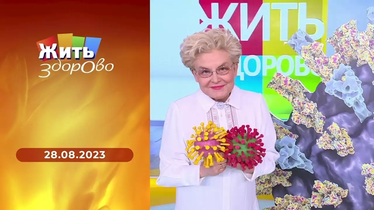 Жить здорово! Выпуск от 28.08.2023