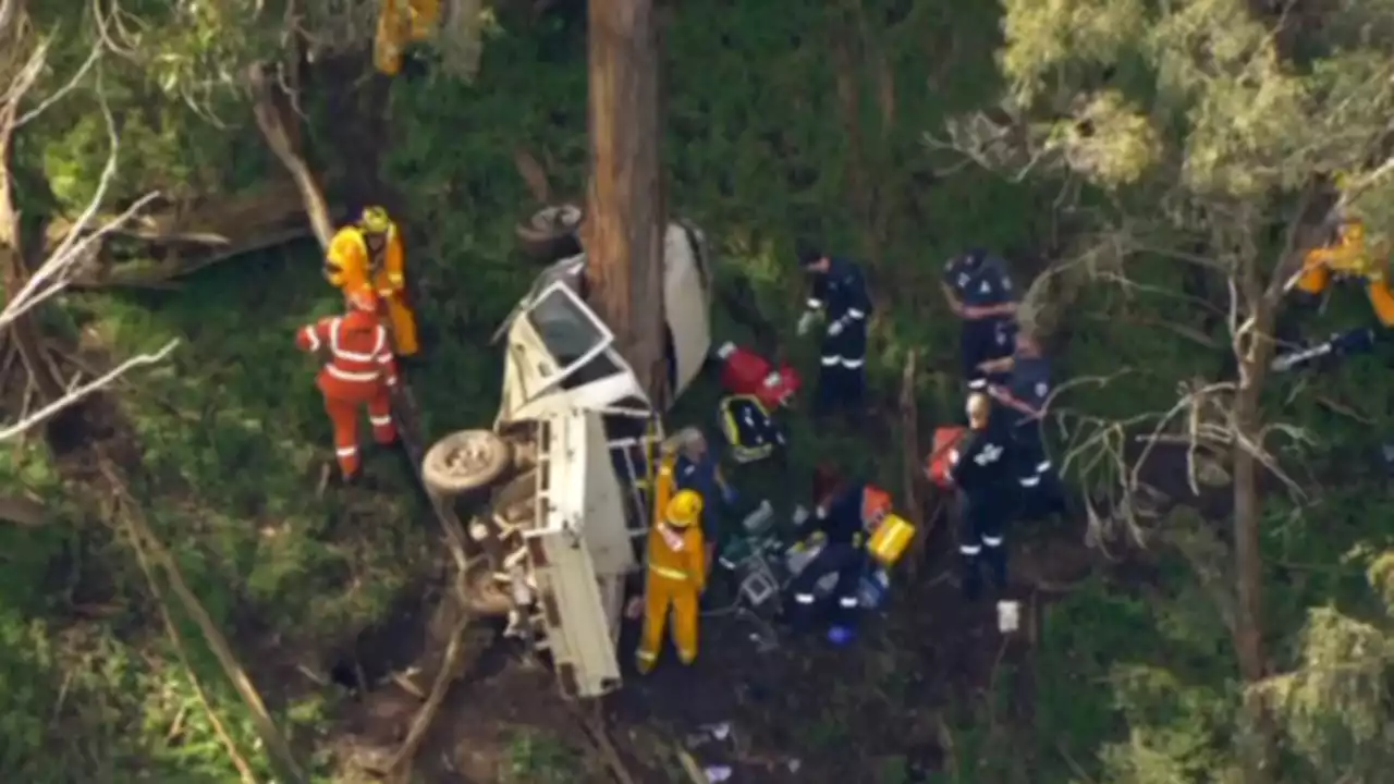 Five people caught up in deadly ute crash