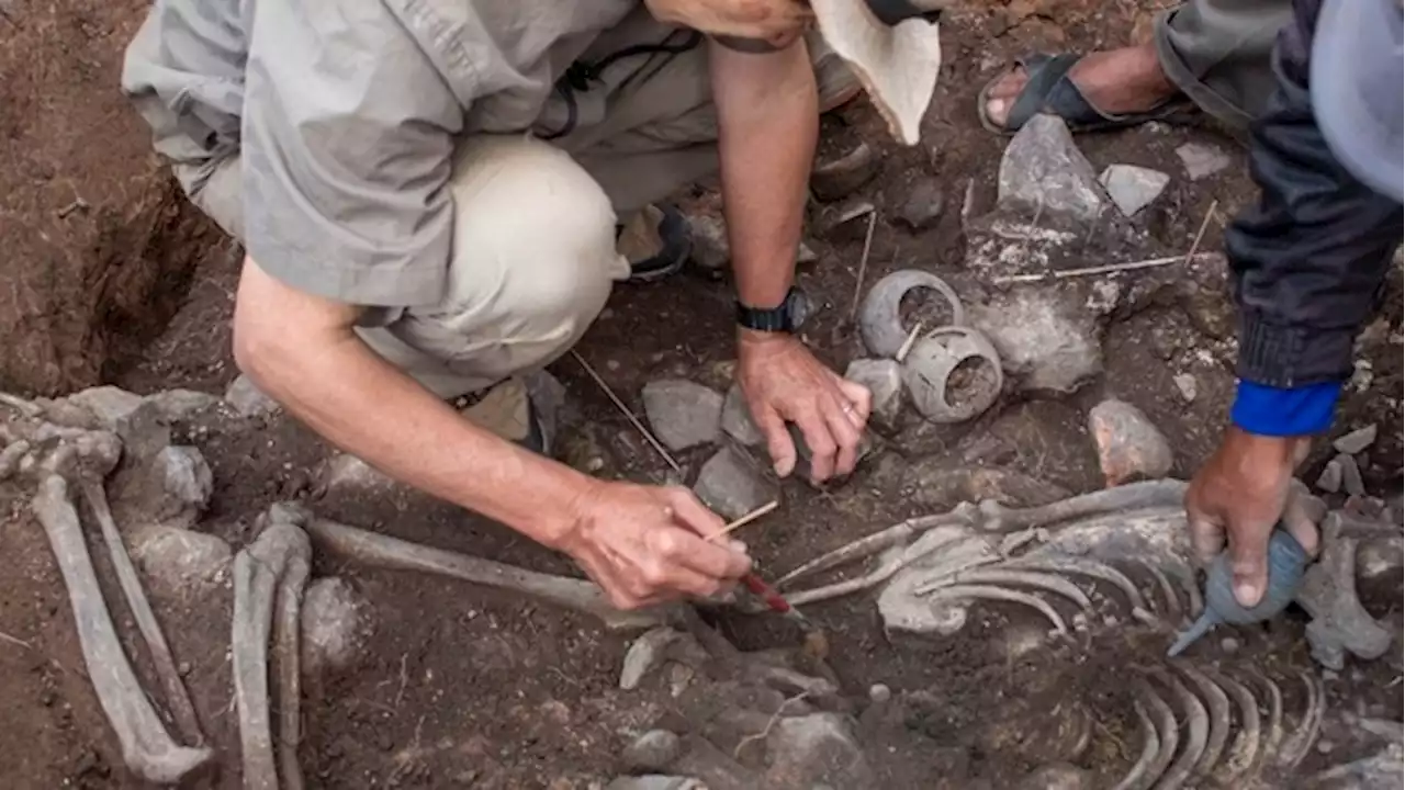 Live: Archaeologists unearth 3,000-year-old tomb, Paralympic team name co-captains for Paris. The latest news with The Loop