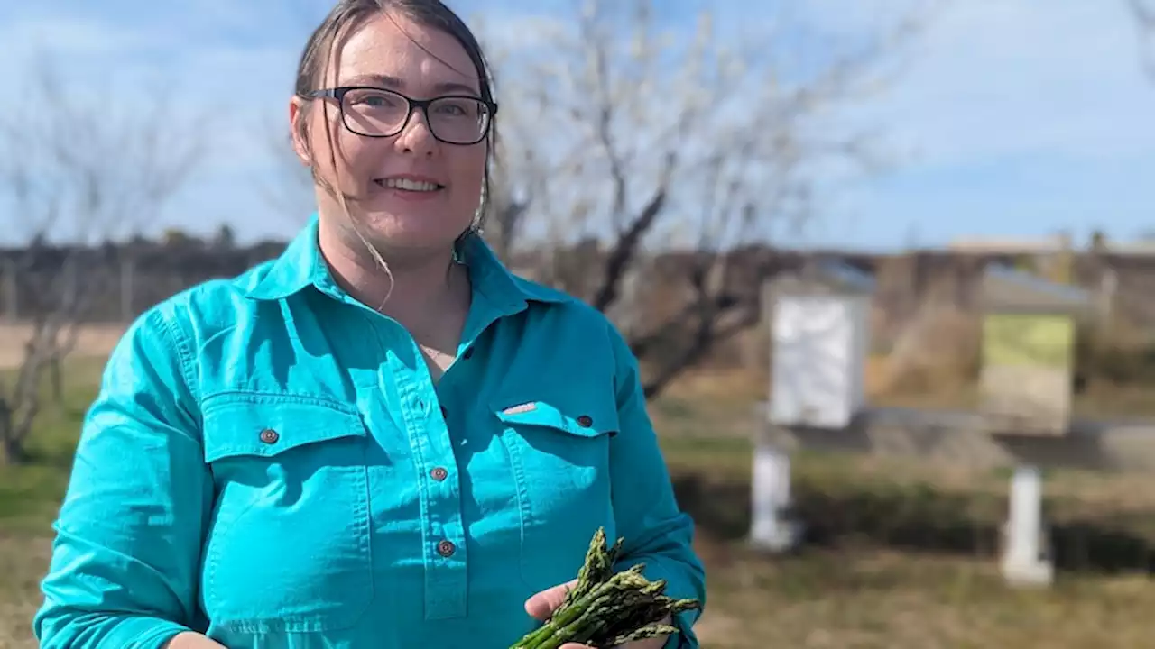 Others pin their hopes on trends, but Renee wants to boost supply to meet local demand for vegetables