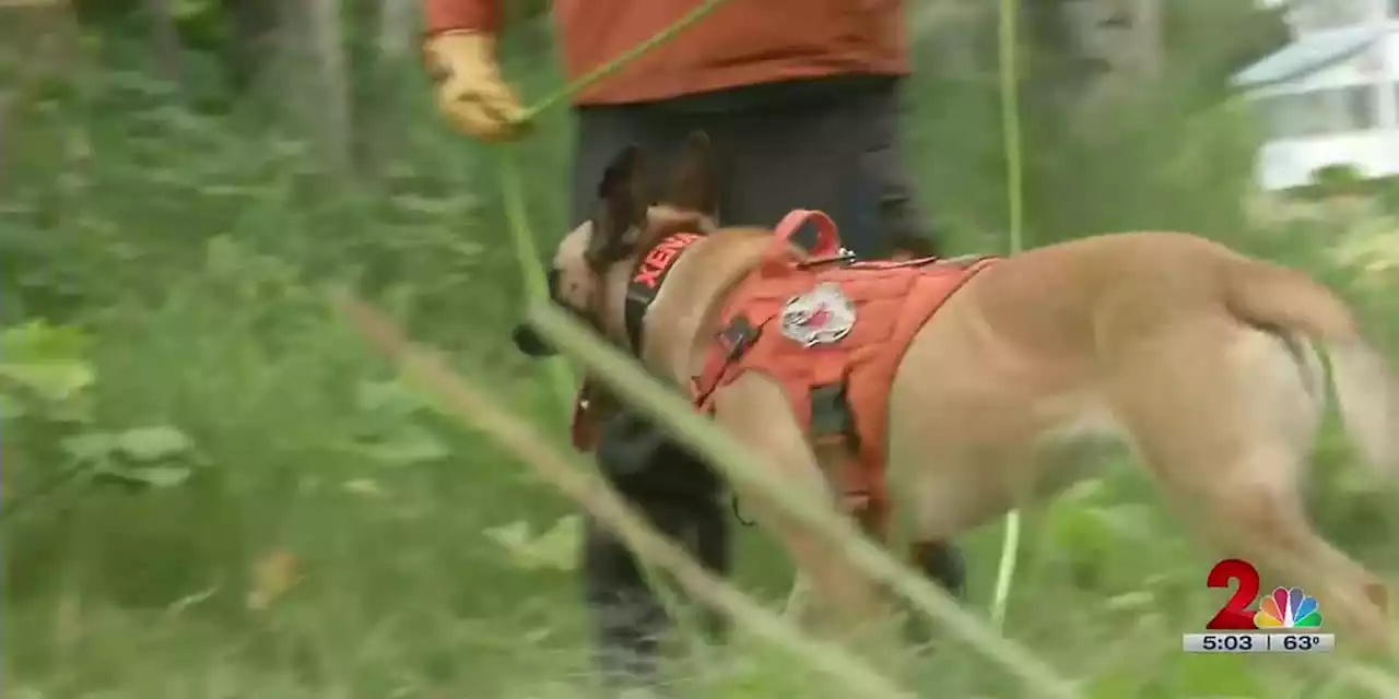 In-depth: Search and Rescue save lives and provide closure to families across Alaska