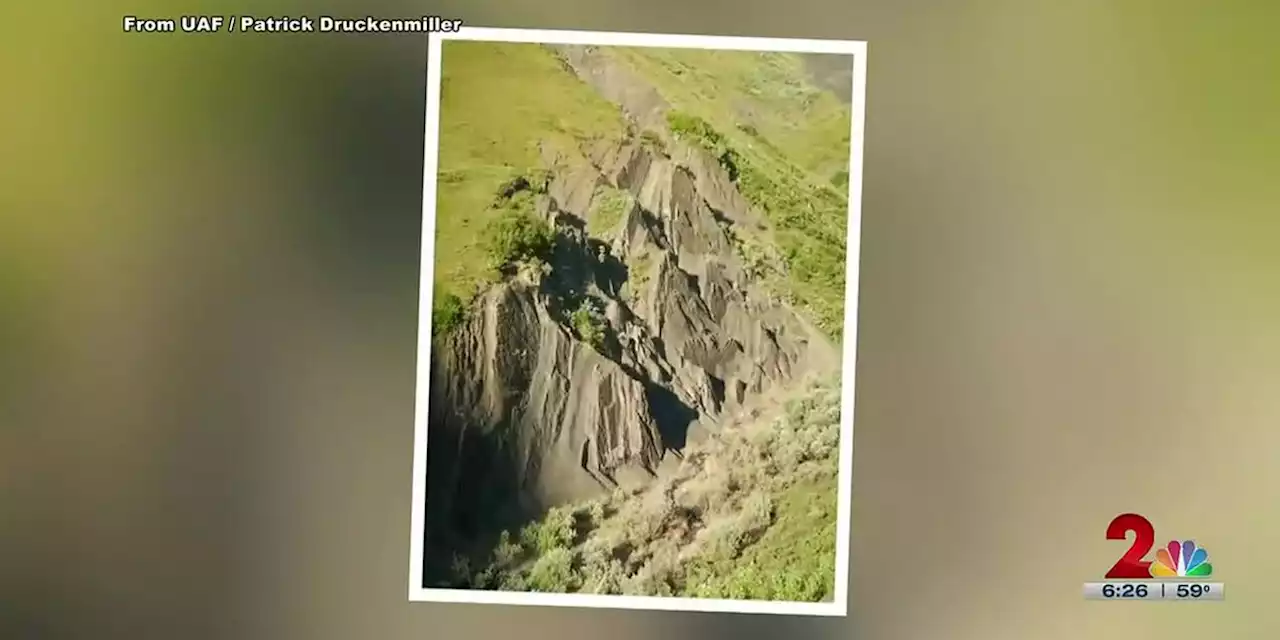 Inside Denali National Park & Preserve, a dinosaurian discovery of historic proportions