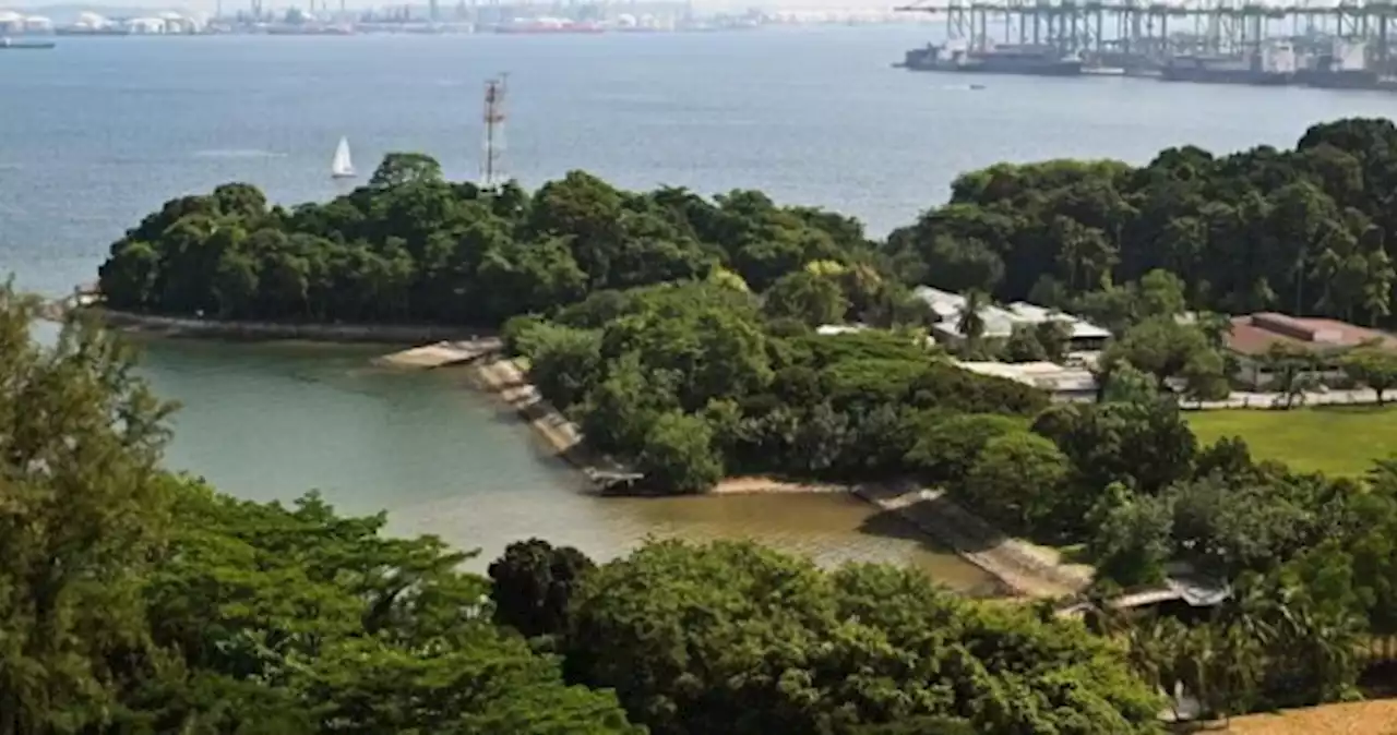 Man, 24, found dead in waters at Keppel Bay, second this week