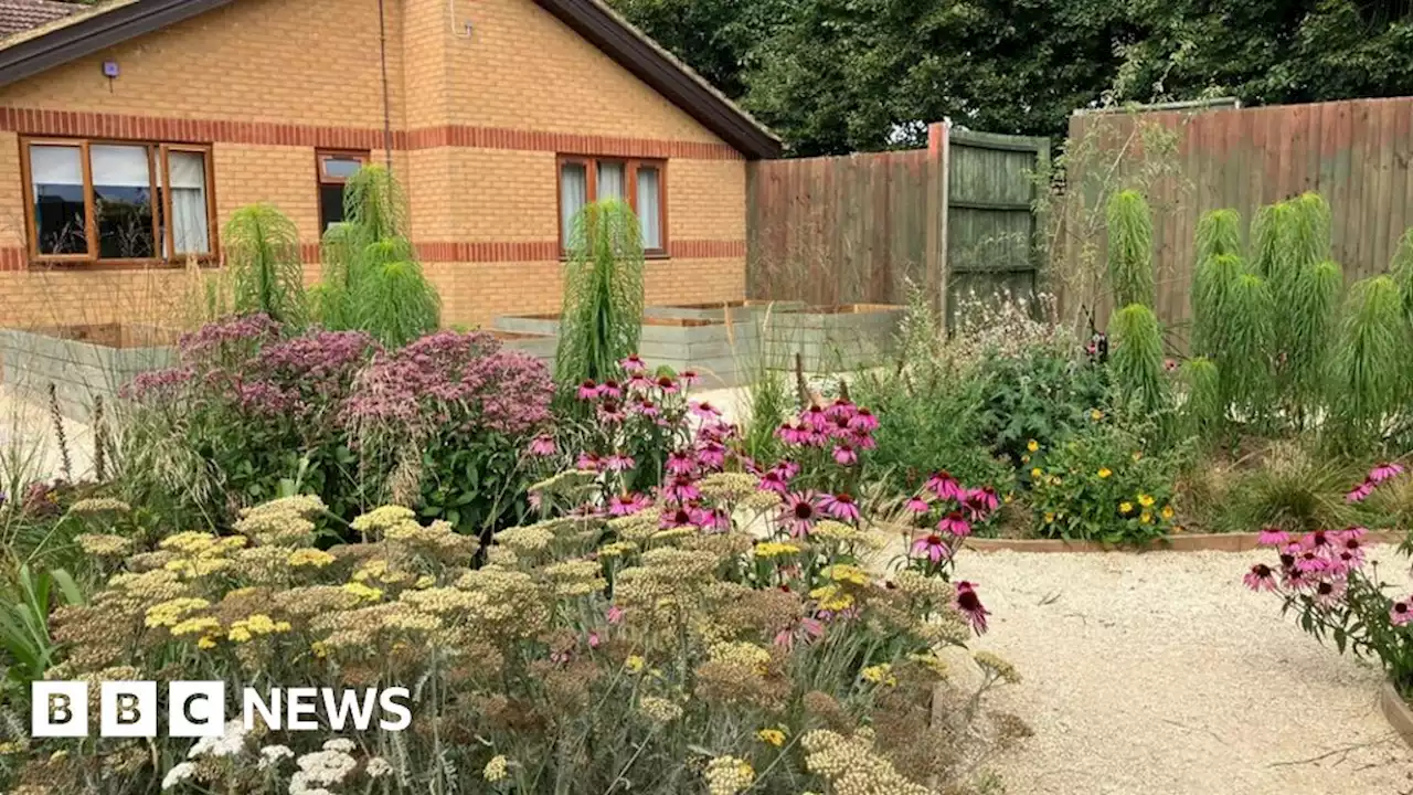 New sensory garden created at Northampton crisis house