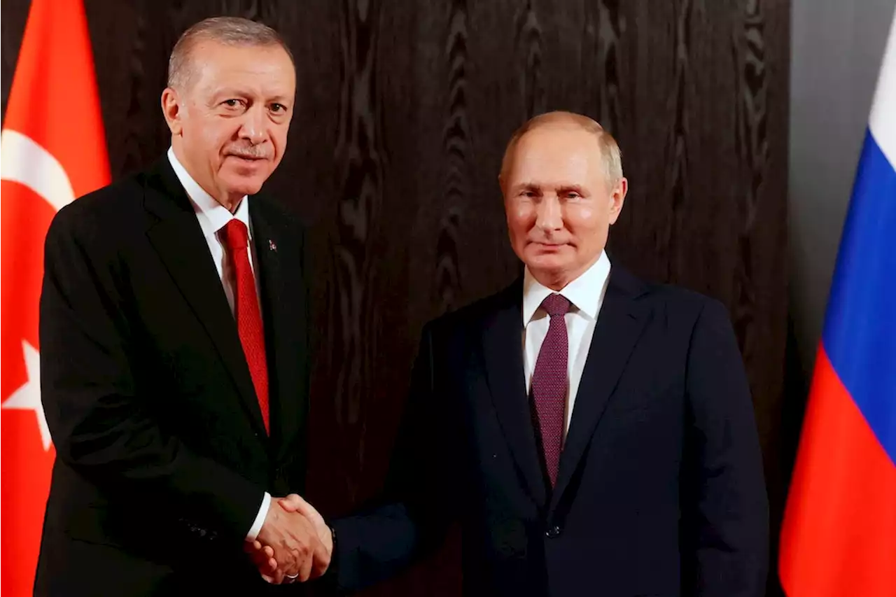 Wichtige Gespräche mit Wladimir Putin: Recep Tayyip Erdogan reist nach Russland