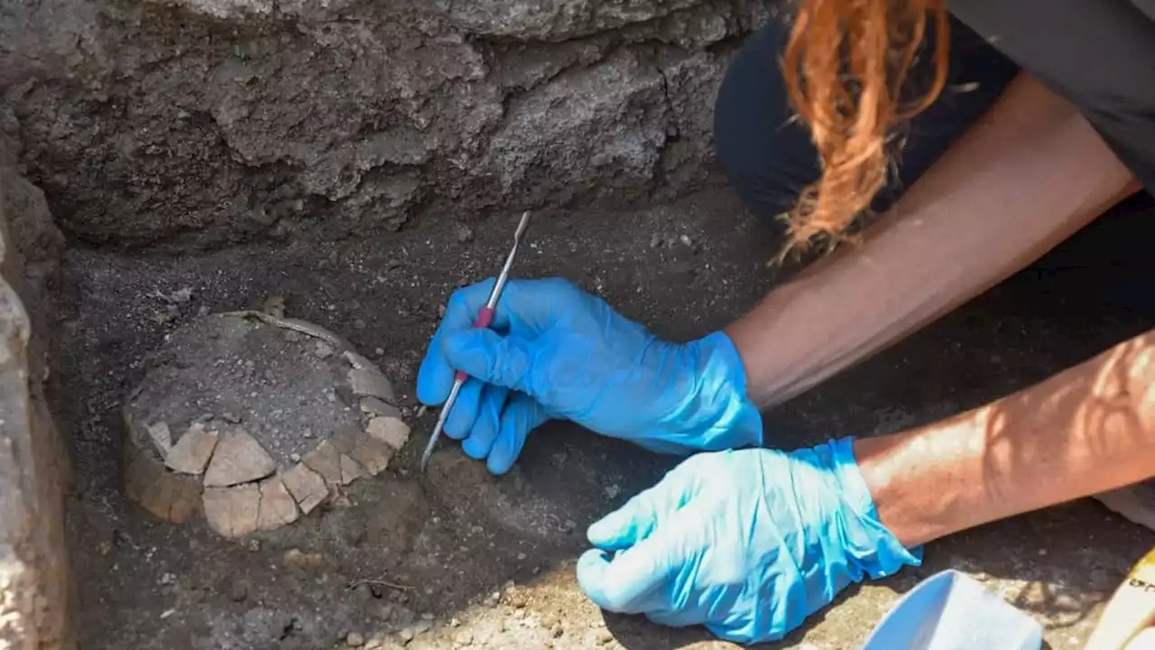 Marne: découverte d'un village néolithique après 150 ans de recherches