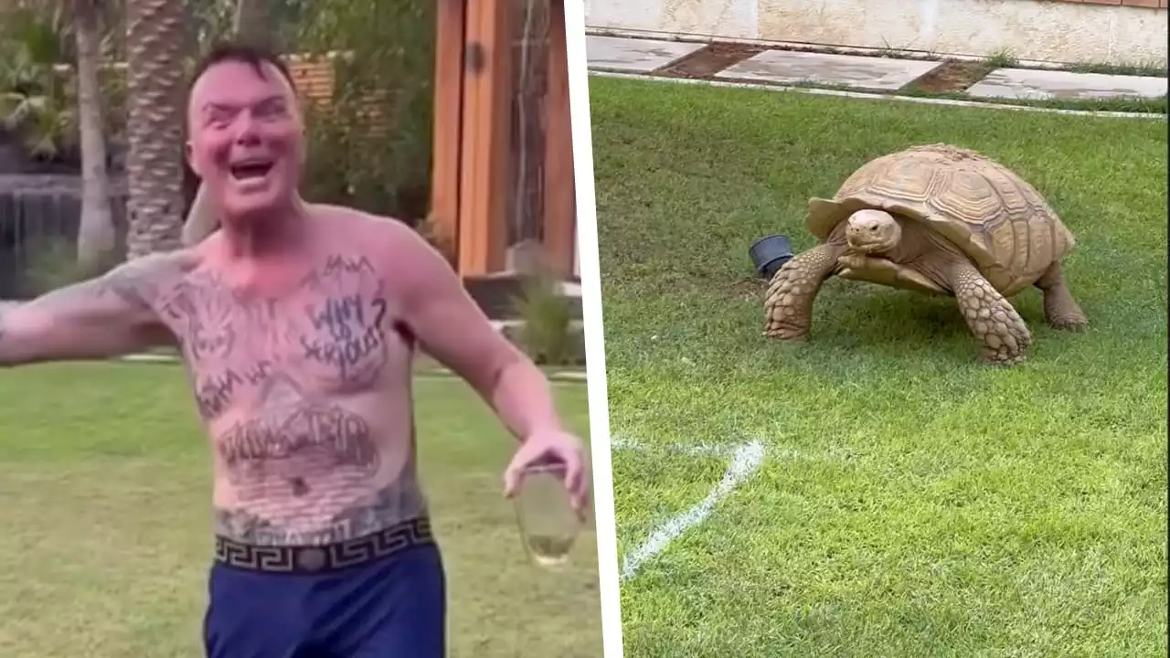 Prinz Marcus quält Schildkröte und postet Widerlich-Video!