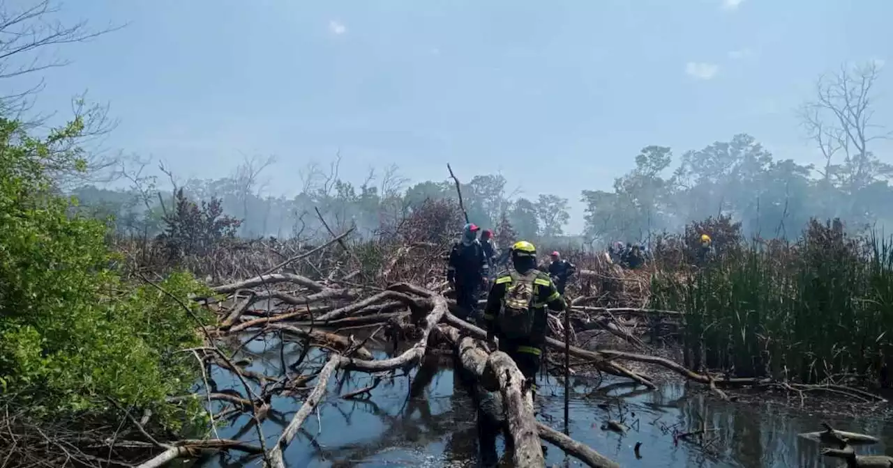 Incendio en Isla Salamanca arrasa con casi 30 hectáreas de zona de reserva natural