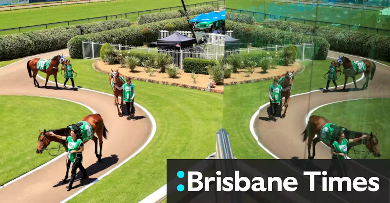 Race-by-race preview and tips for Tuesday meeting at Newcastle