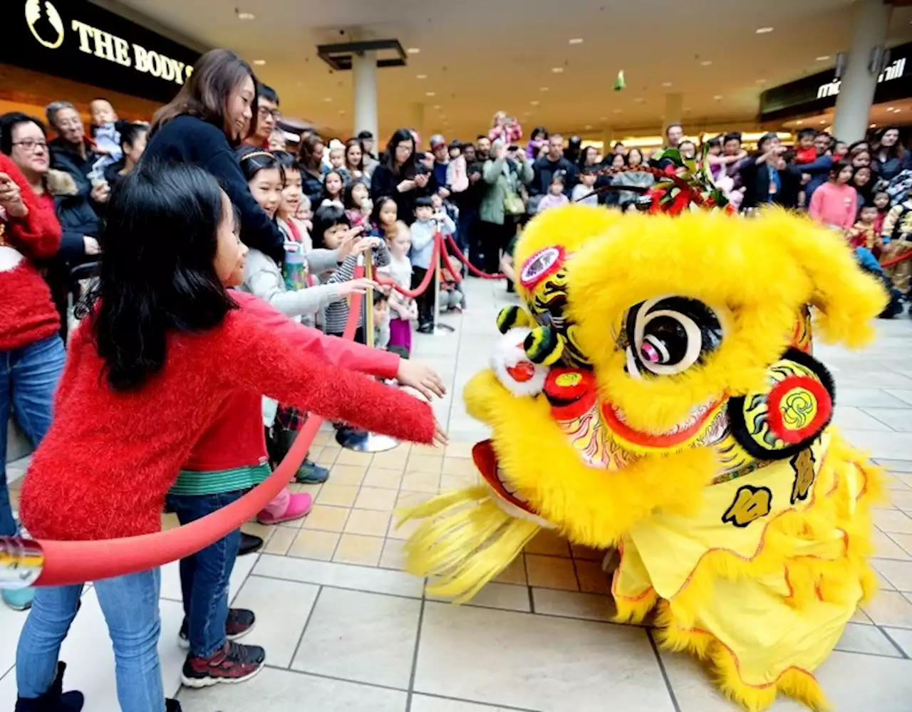 Diversity, unity the themes of this new Burnaby street festival