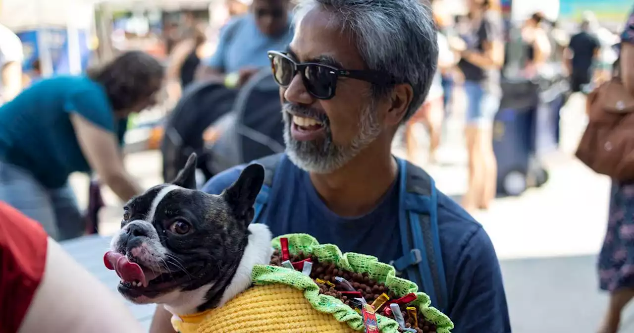 Photos: Lakeview Taco Fest 2023