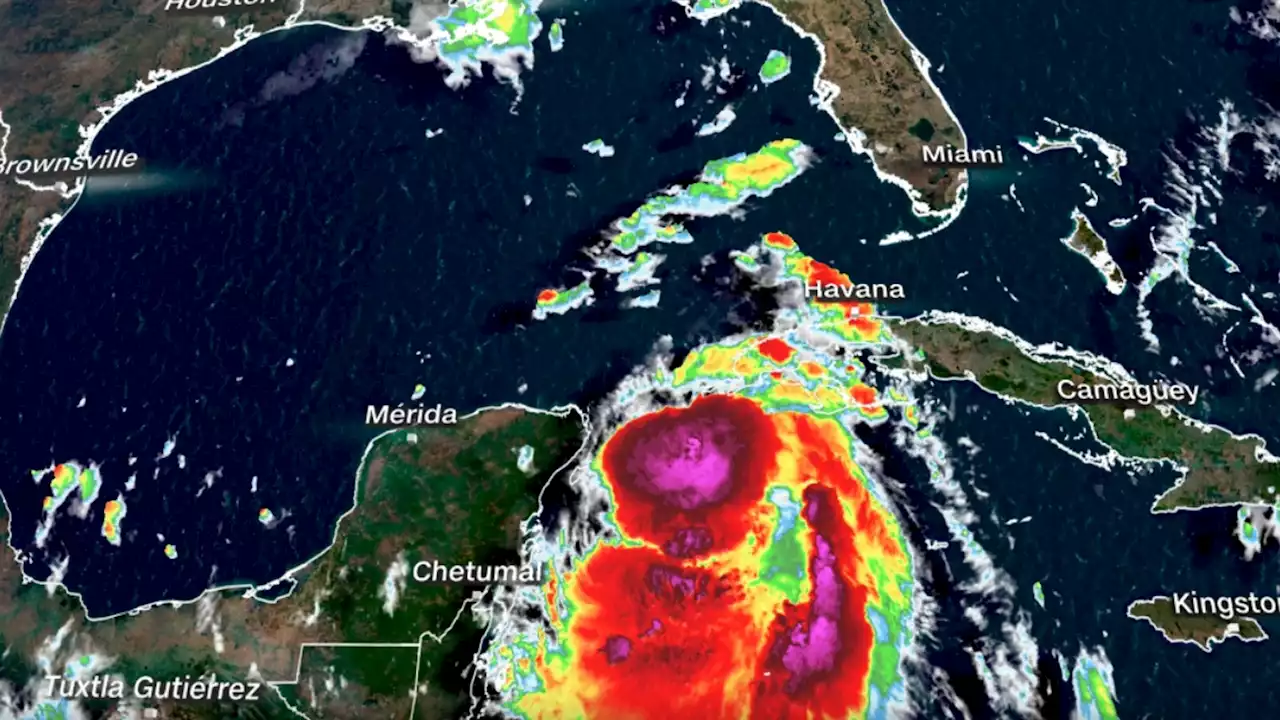 Tormenta tropical Idalia en Florida en vivo: trayectoria, última hora, noticias y más