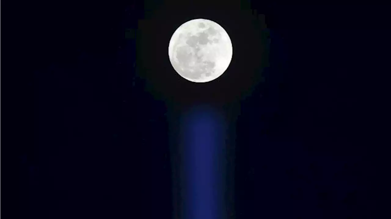 Supermoon Biru Langka 'Terbit' Pekan Ini, Cek Jadwalnya