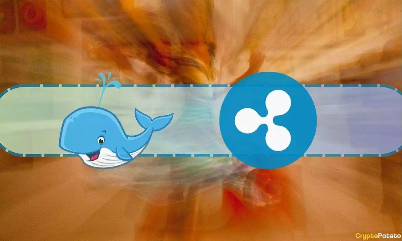 Is This Whale Planning to Dispose $15 Million Worth of Ripple (XRP)?