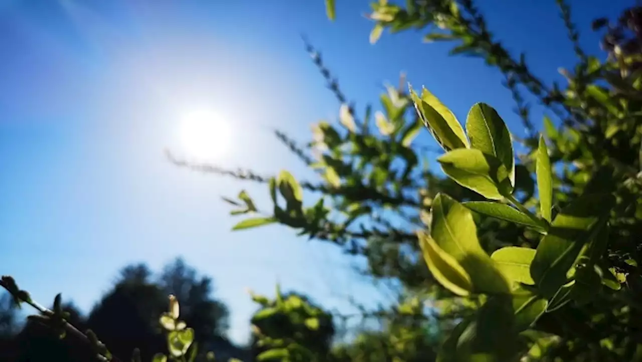 Plenty of sunshine in the forecast for the final days of August