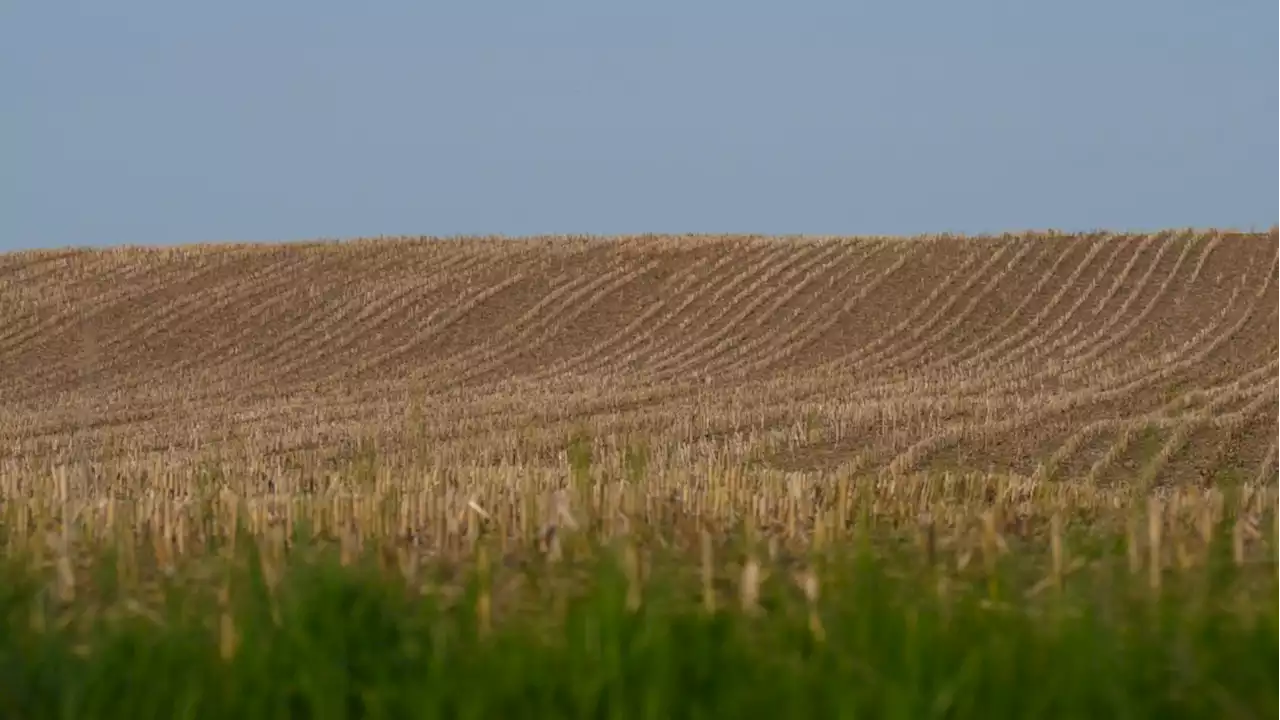 Ontario chiefs unanimously oppose province's Greenbelt land swap