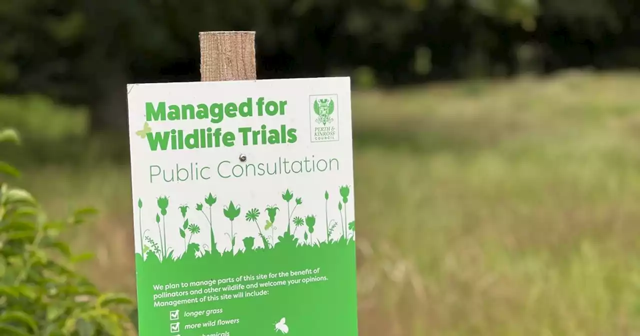 Perth and Kinross councillors vote to continue 'no mow' approach